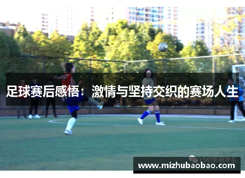足球赛后感悟：激情与坚持交织的赛场人生