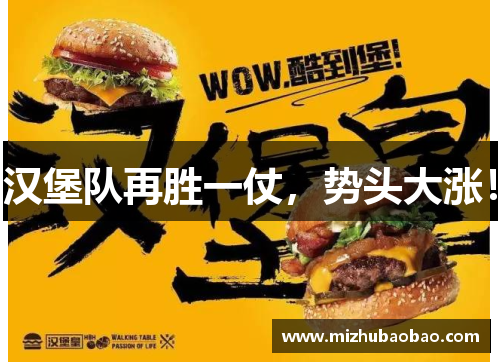 汉堡队再胜一仗，势头大涨！